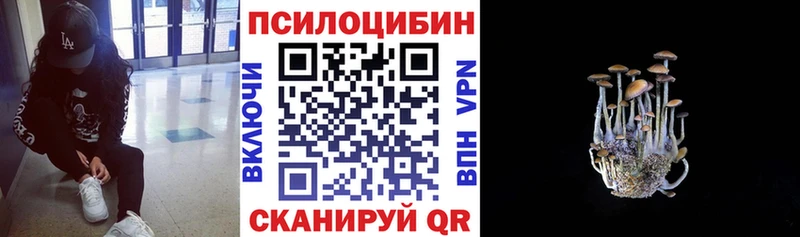 Псилоцибиновые грибы мухоморы KRAKEN рабочий сайт нарко площадка формула Карасук