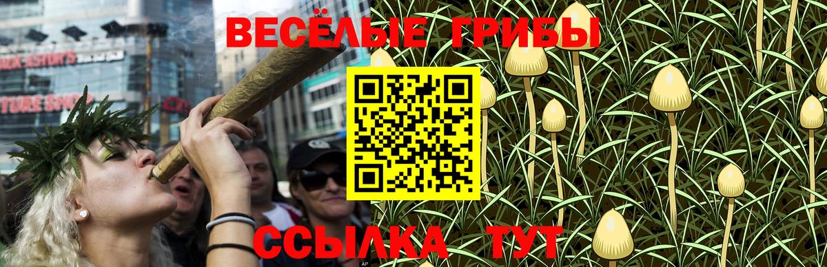 Карасук  Псилоцибиновые грибы Magic Shrooms  Галлюциногенные грибы Psilocybe  Вход с VPN 
