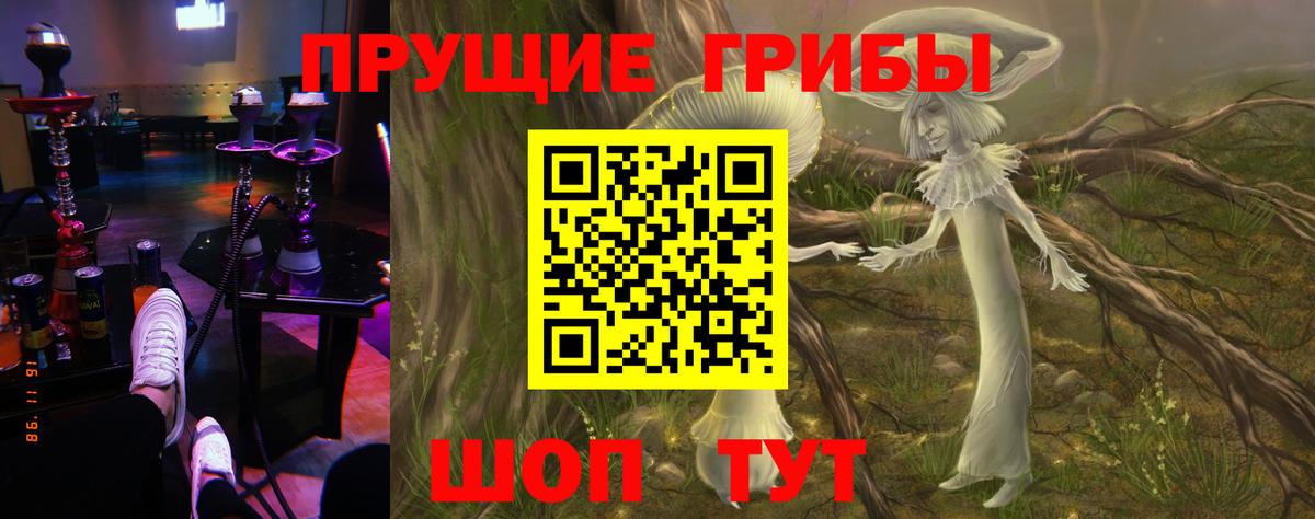 Галлюциногенные грибы GOLDEN TEACHER Карасук
